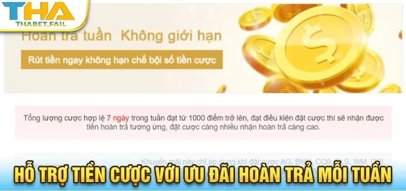 Khuyến Mãi Thabet 4 Tham gia đặt cược và nhận hoàn tiền hấp dẫn mỗi tuần