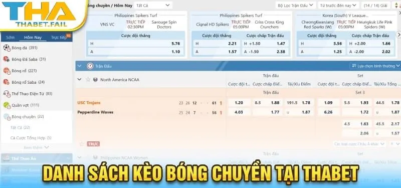 Thể Thao Thabet 18 Danh sách kèo bóng chuyền tại Thabet được tổng hợp đầy đủ.