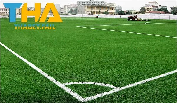 Khái niệm bóng đá cỏ?