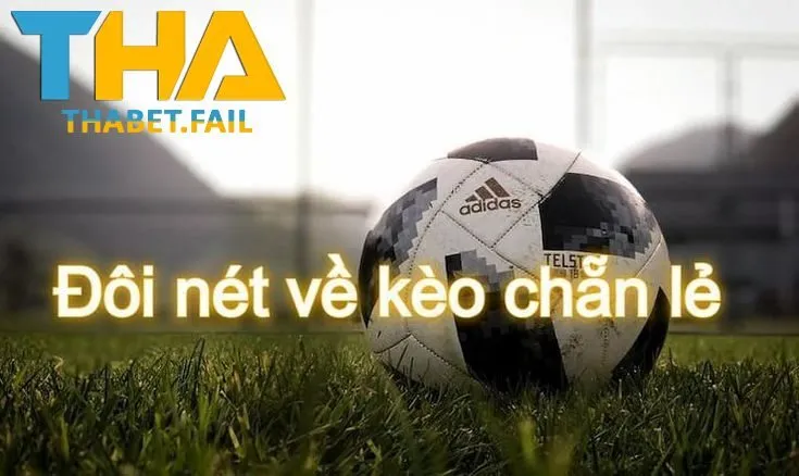 Hướng dẫn cách đánh giá kèo chẵn lẻ