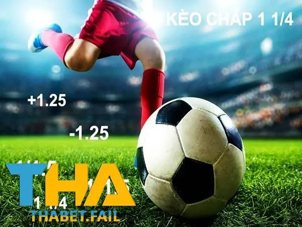 Xem xét các bảng tỷ lệ cược từ các nhà cái