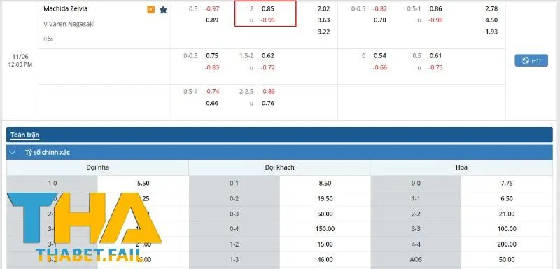 Tỷ lệ cược trận đấu giữa Machida Zelvia và V Varen Nagasaki.